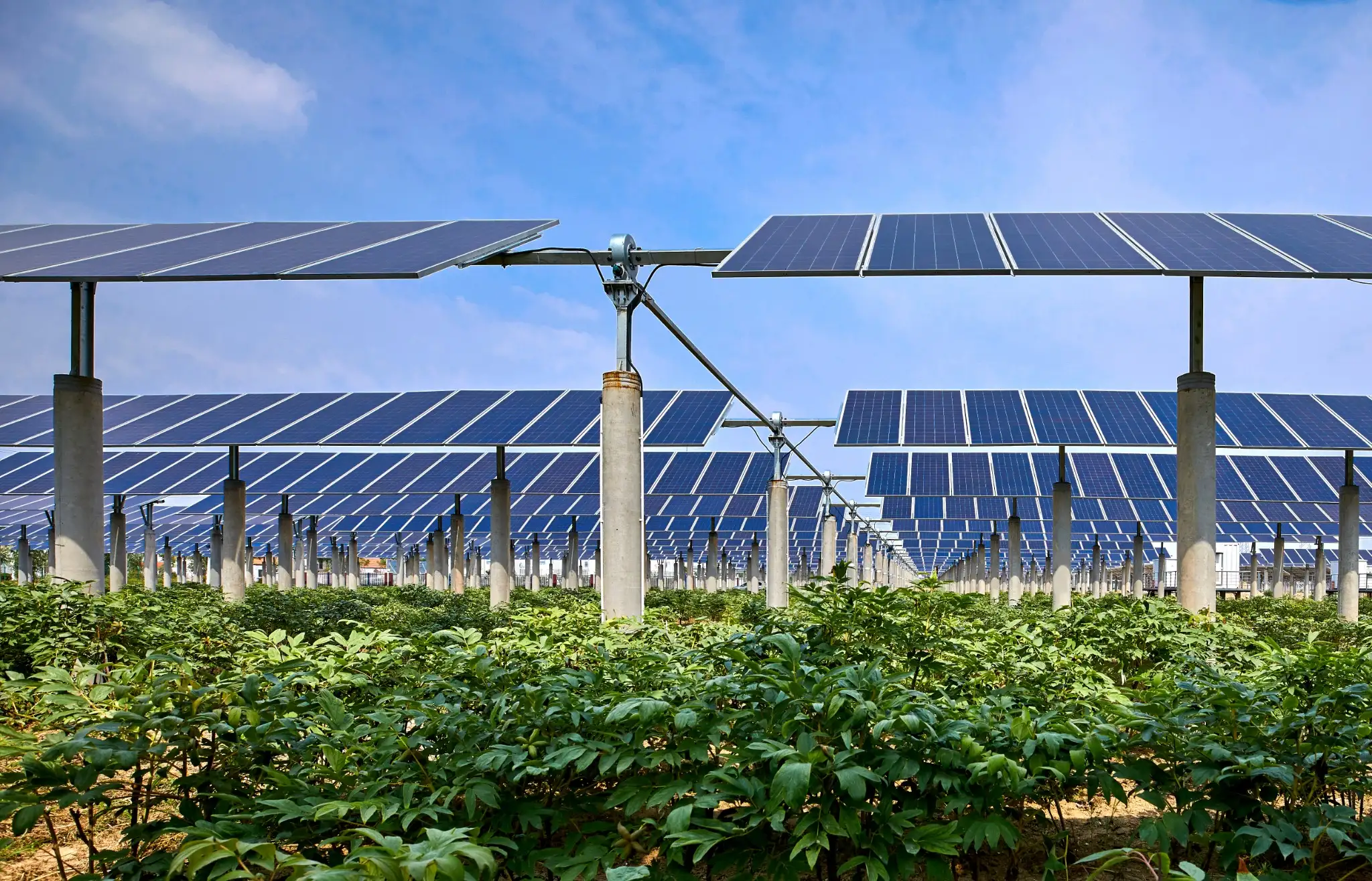 Agri-PV-Anlagen